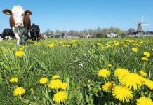 Kringloopboeren, verenigt u!