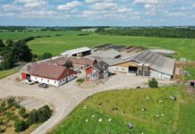 Studiereis naar Denemarken in maart 2026