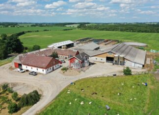 Studiereis naar Denemarken in maart 2026