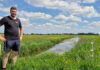 ‘Weidevogels zijn een genot, maar de plus is peanuts’