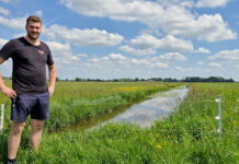 ‘Weidevogels zijn een genot, maar de plus is peanuts’