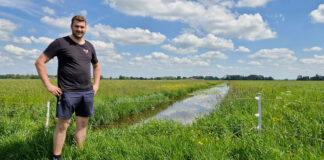 ‘Weidevogels zijn een genot, maar de plus is peanuts’