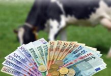 RFC maakt winst, maar durft (nog) geen nabetaling uit te keren