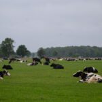 Hidden bill of hidden revenue? Zoek het uit!