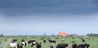 Vrees voor generieke korting staat succes krimpplan in de weg