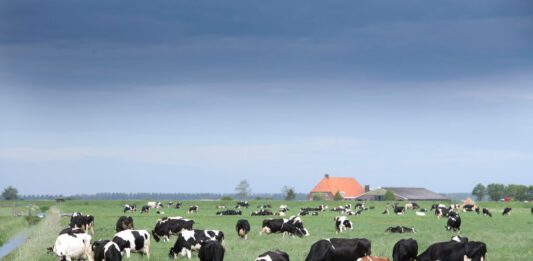 Vrees voor generieke korting staat succes krimpplan in de weg