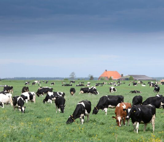 Vrees voor generieke korting staat succes krimpplan in de weg