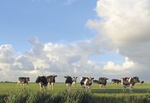 Niveau minister bepaalt je toekomst