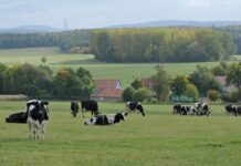 Studiereis naar het noordoosten van Duitsland, september 2025. (Deze reis is volgeboekt)