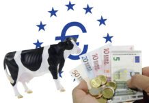 ‘Banken beoordelen echt anders, leer daarop te anticiperen’