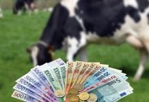 Rentestijging dreigt voor agrarische sector