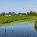 Hoe komen we weer tot scoren…