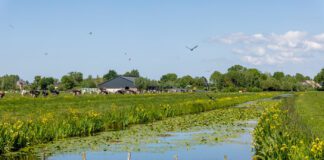 Hoe komen we weer tot scoren…