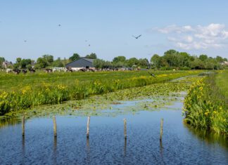 Hoe komen we weer tot scoren…