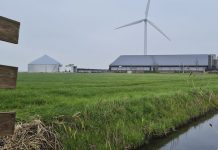 ‘€ 1.000 voor boer die bewijst dat digestaat goed uitwerkt op koe en bodem’