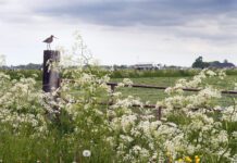 Extensieve RFC-leden hekelen nieuwe CO₂-premiestelsel