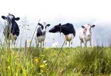 Regie op ruimte: Niet om vragen, maar zelf oppakken